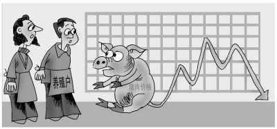 CFP供图