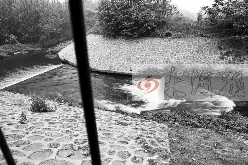 五龙口污水处理厂输水明渠直接排水入河