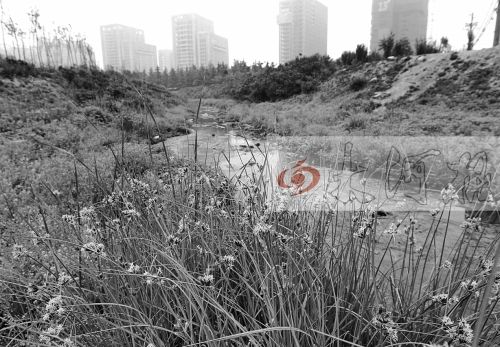 流着流着 清清河水变得黑臭如墨