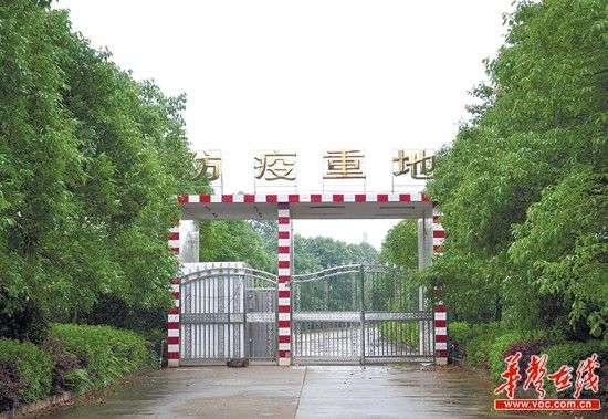 5月29日,湖南天心牧业有限公司里面的防疫重地。实习记者 李健 摄
